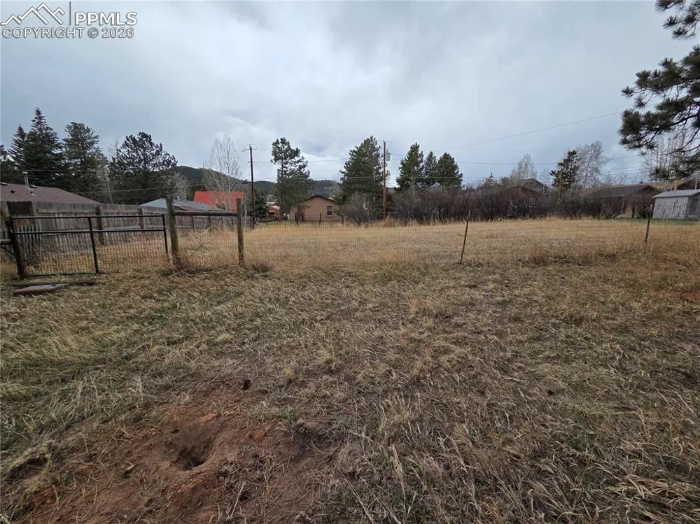 224 S Fairview Street Woodland Park, CO 80863