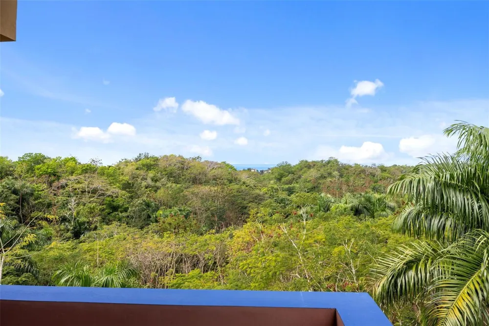 Km 15 H 7 PR 115 VILLA LA JOLLA Rincon, PR 00677