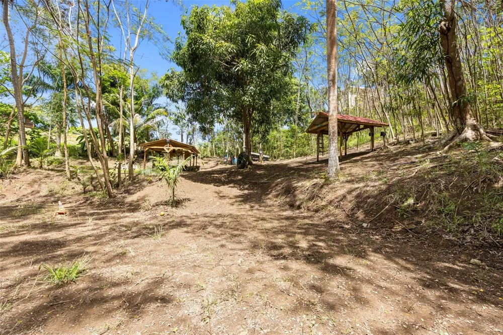 Km 15 H 7 PR 115 VILLA LA JOLLA Rincon, PR 00677