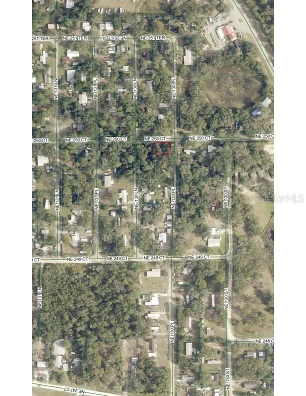 TBD NE 130 PLACE Salt Springs, FL 32134