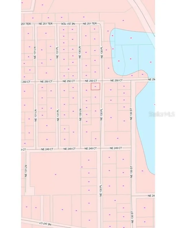 TBD NE 130 PLACE Salt Springs, FL 32134