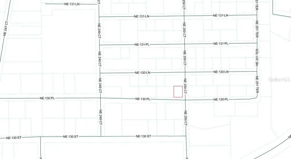 TBD NE 130 PLACE Salt Springs, FL 32134