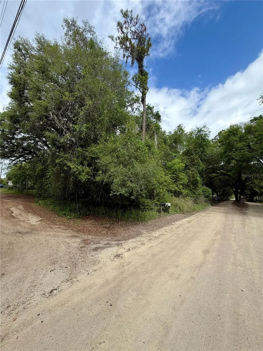TBD NE 130 PLACE Salt Springs, FL 32134