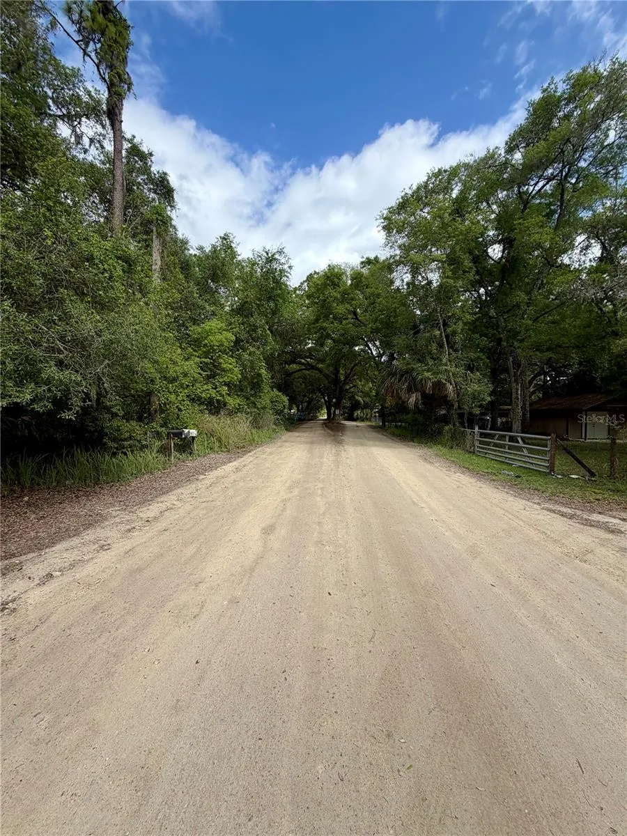 TBD NE 130 PLACE Salt Springs, FL 32134
