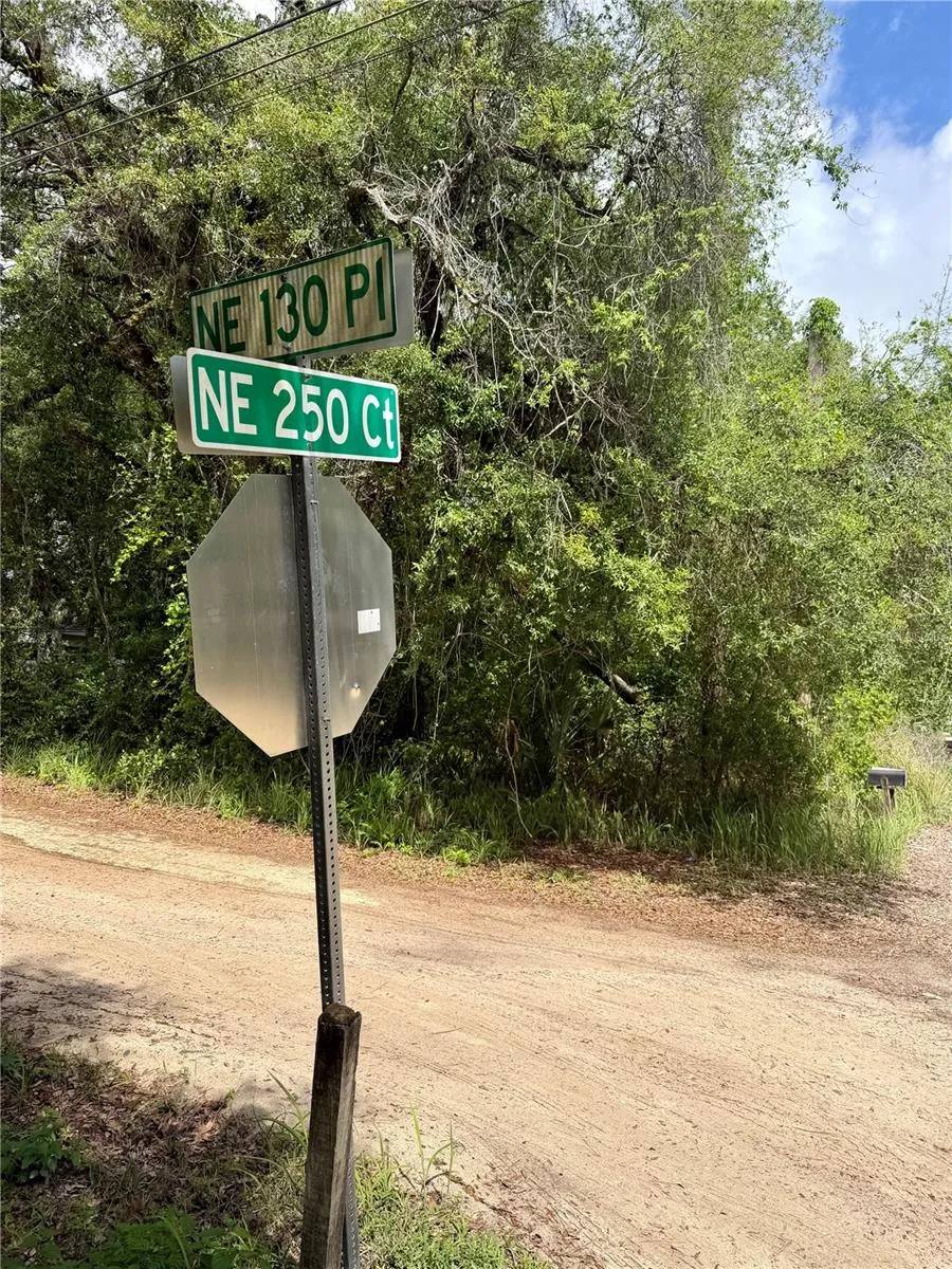 TBD NE 130 PLACE Salt Springs, FL 32134