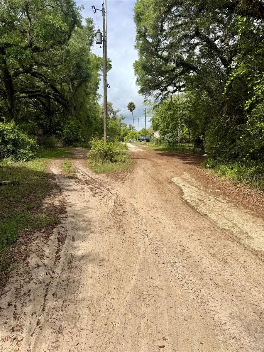 TBD NE 130 PLACE Salt Springs, FL 32134