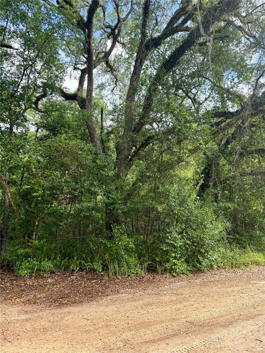 TBD NE 130 PLACE Salt Springs, FL 32134