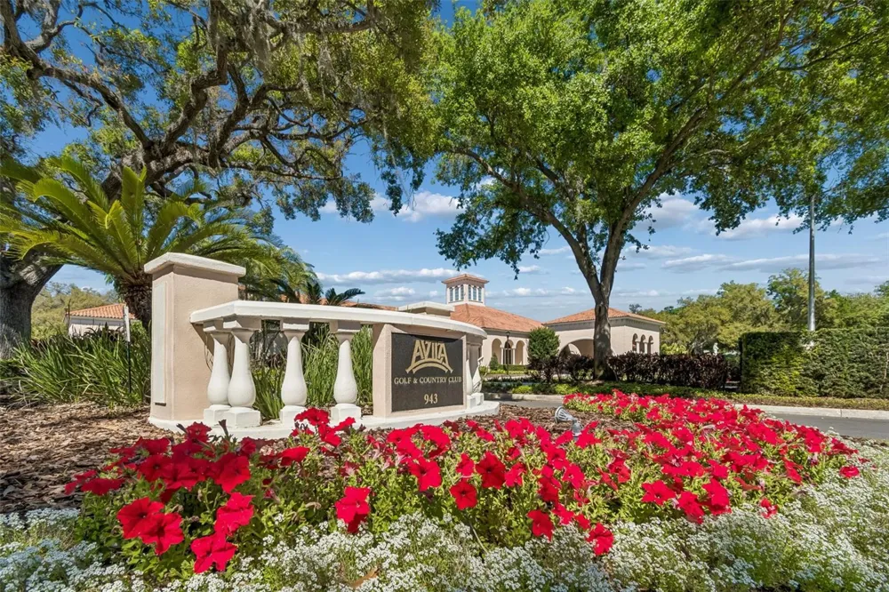 702 BERROCALES DE AVILA Tampa, FL 33613