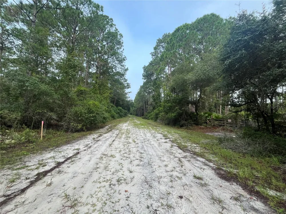 119 GARDENIA AVENUE Georgetown, FL 32139