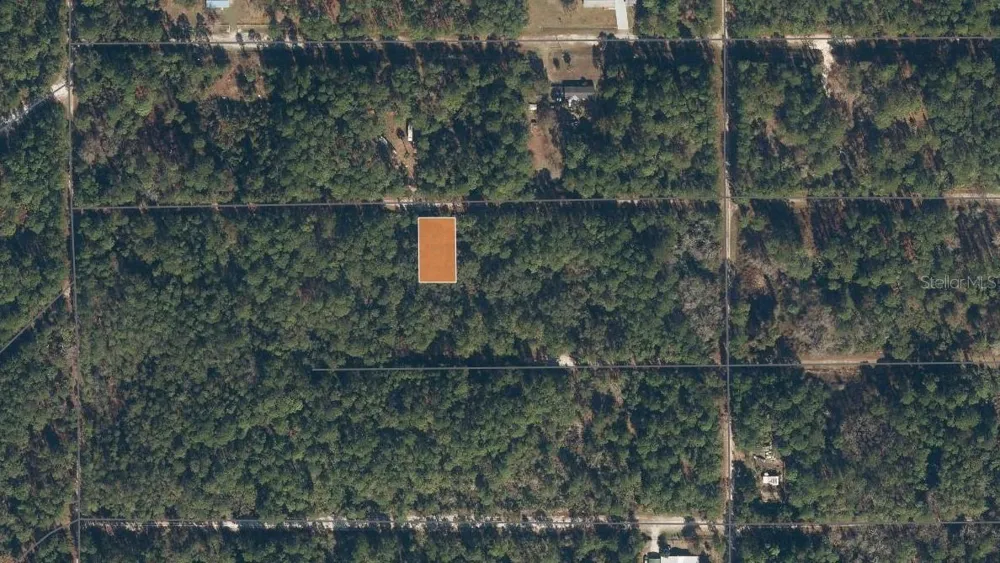 119 GARDENIA AVENUE Georgetown, FL 32139