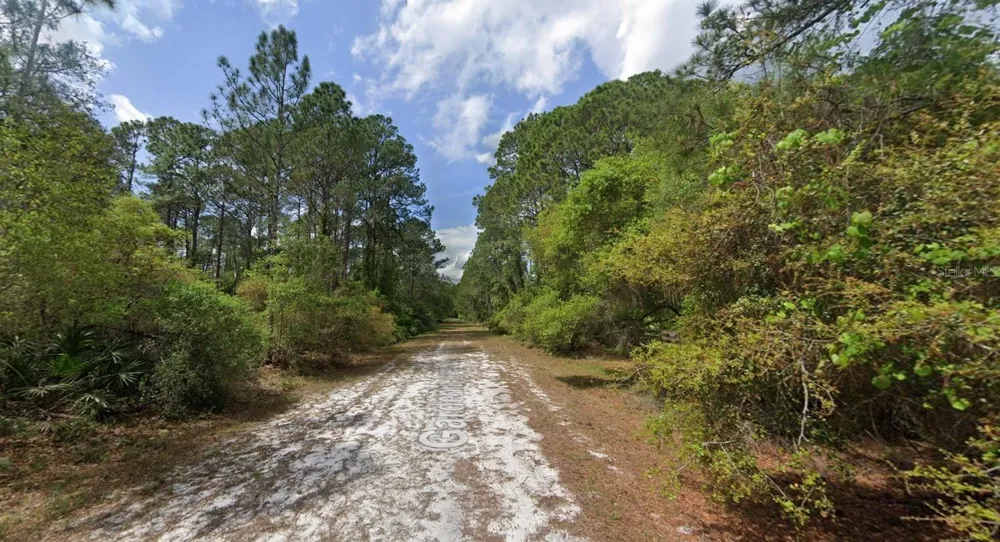 119 GARDENIA AVENUE Georgetown, FL 32139