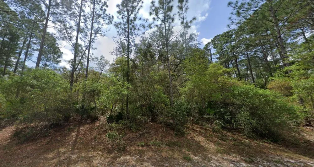 119 GARDENIA AVENUE Georgetown, FL 32139