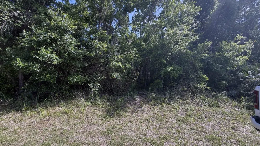 0.5 WASHINGTON STREET New Smyrna Beach, FL 32168