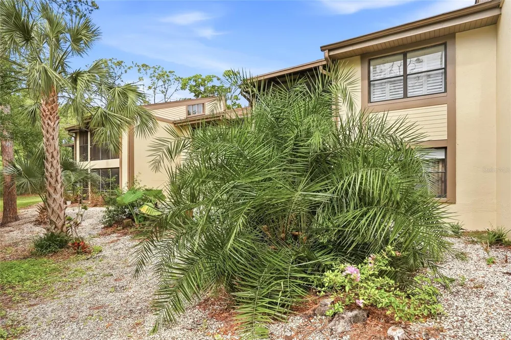 130 WOODLAKE WYNDE #130 Oldsmar, FL 34677