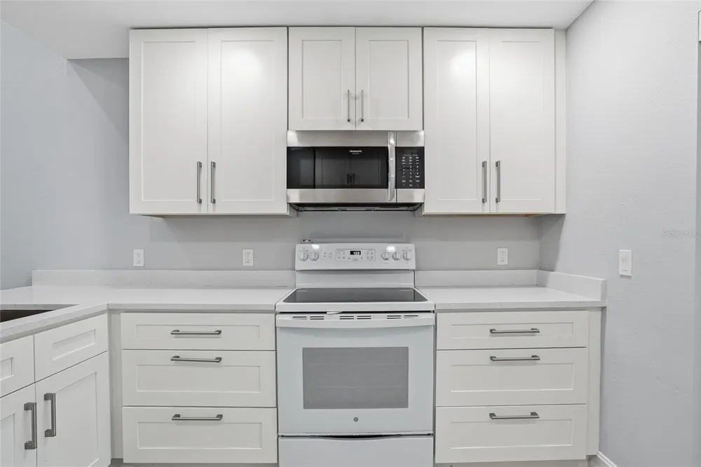 130 WOODLAKE WYNDE #130 Oldsmar, FL 34677