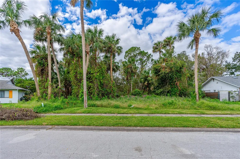TBD TUMBLEWEED TRAIL Port Orange, FL 32127