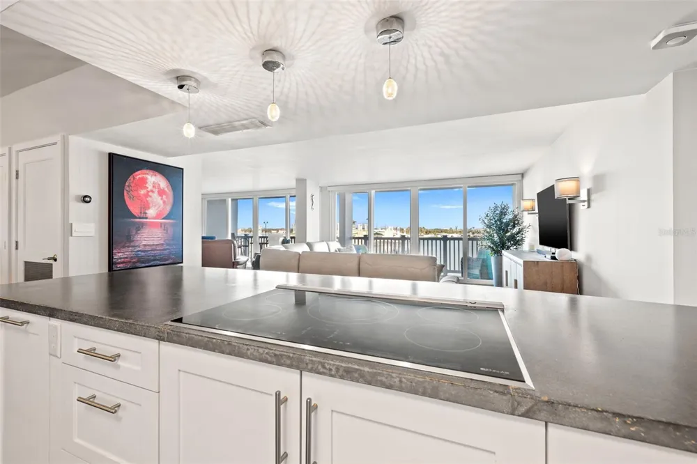 500 TREASURE ISLAND CAUSEWAY #308 Treasure Island, FL 33706