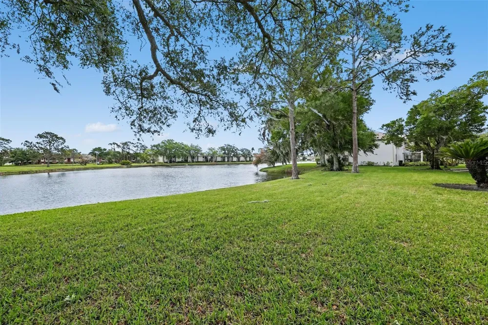 172 LAKEVIEW WAY #172 Oldsmar, FL 34677