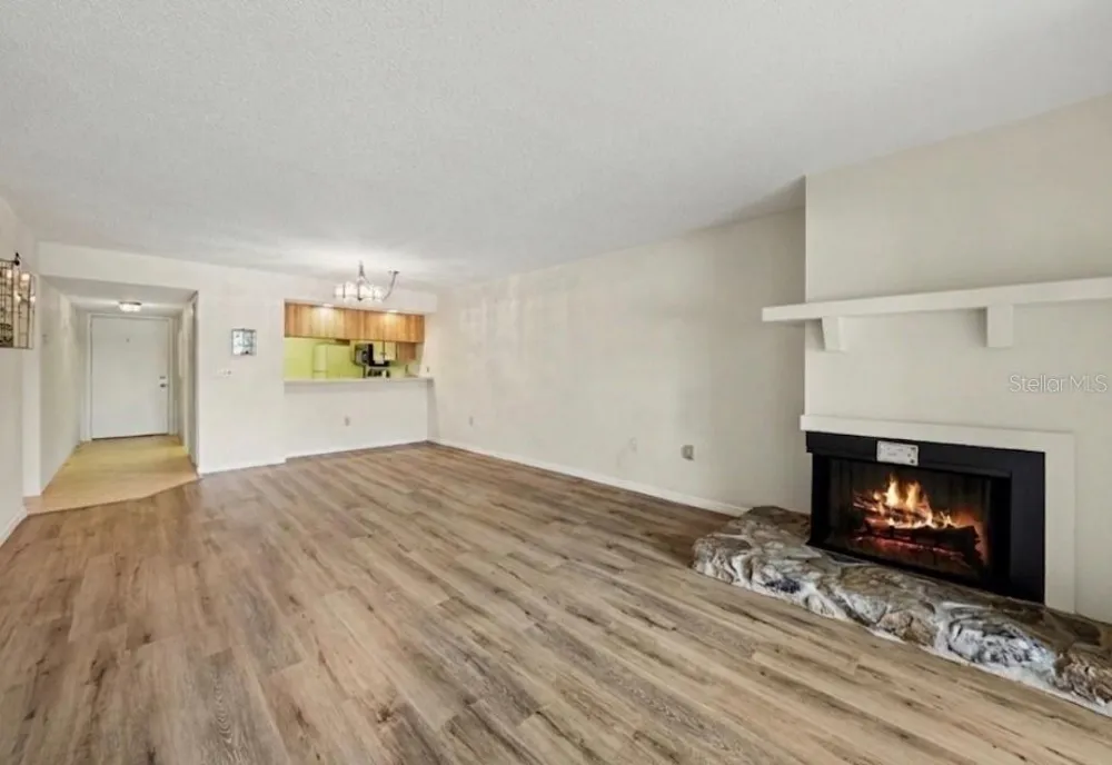 172 LAKEVIEW WAY #172 Oldsmar, FL 34677