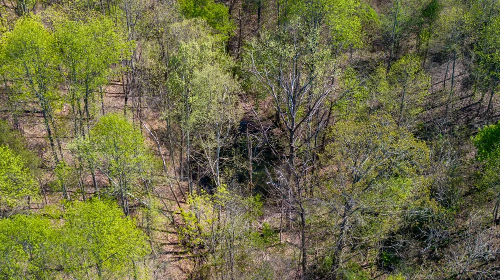 0 Dodson Branch Hwy Cookeville, TN 38501