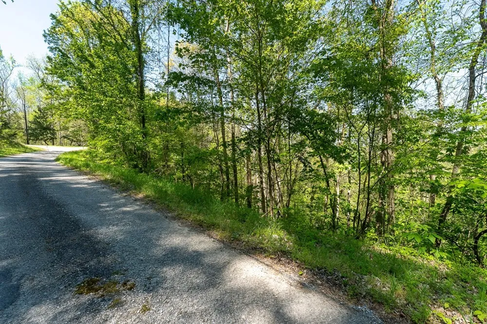 94 Austin Bottom Baxter, TN 38544