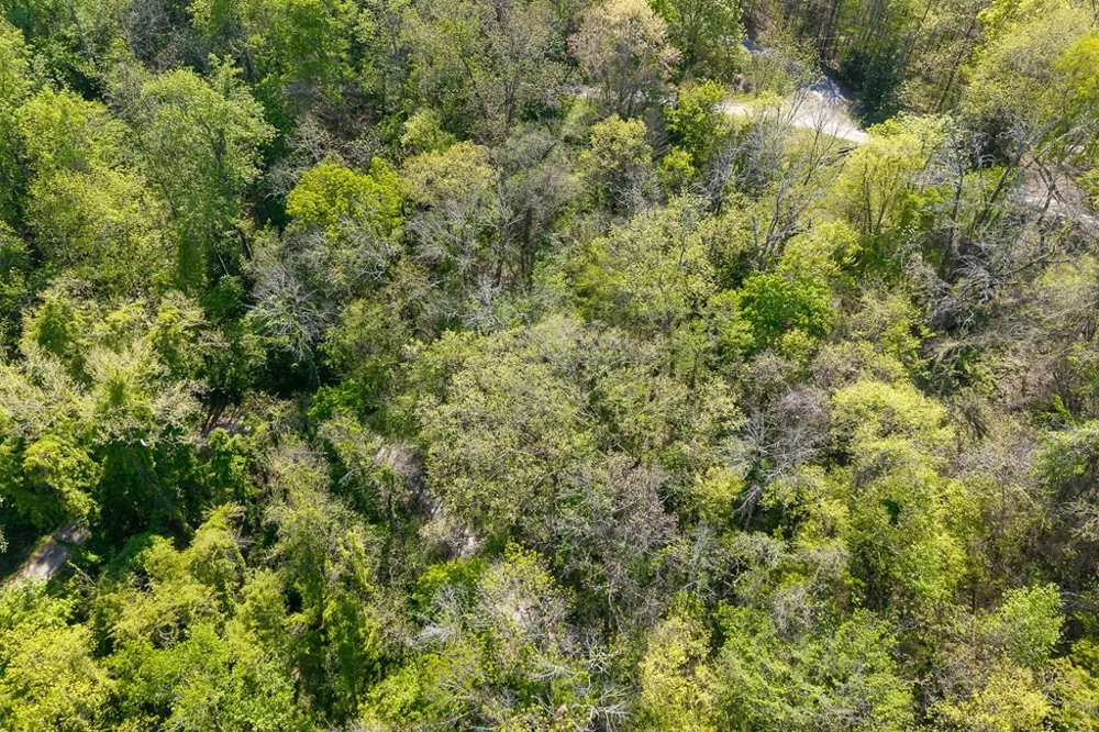 94 Austin Bottom Baxter, TN 38544