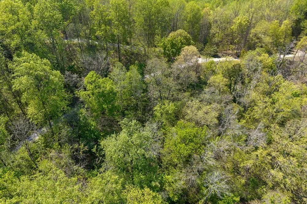 94 Austin Bottom Baxter, TN 38544
