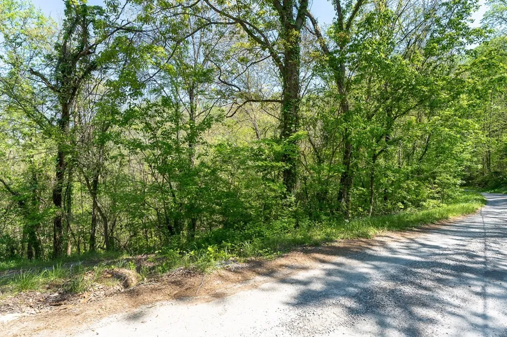 94 Austin Bottom Baxter, TN 38544
