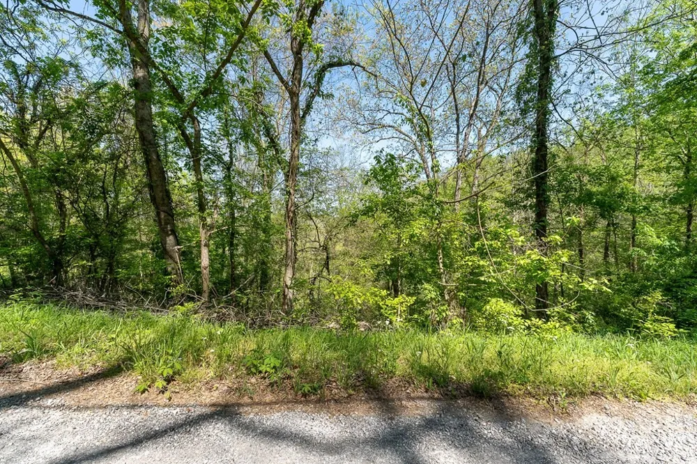 94 Austin Bottom Baxter, TN 38544