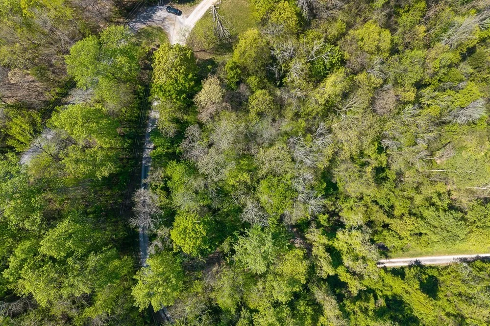 94 Austin Bottom Baxter, TN 38544