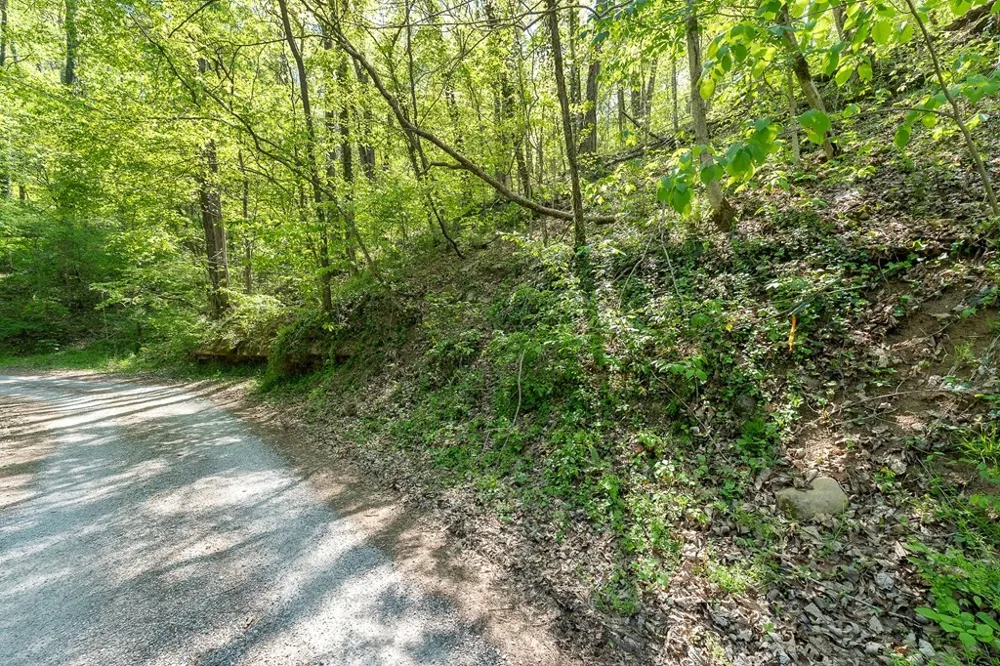 588 Austin Btm Baxter, TN 38544