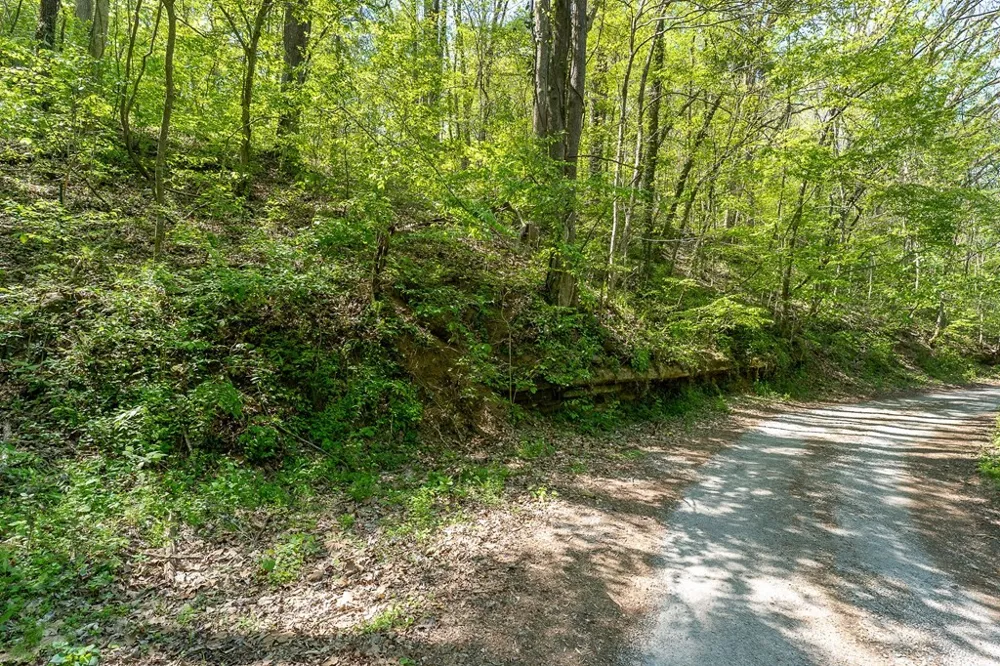 588 Austin Btm Baxter, TN 38544