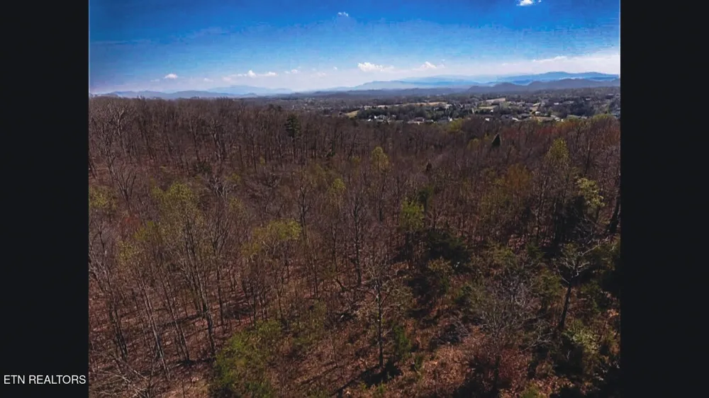 317 Mountain View Drive Vonore, TN 37885