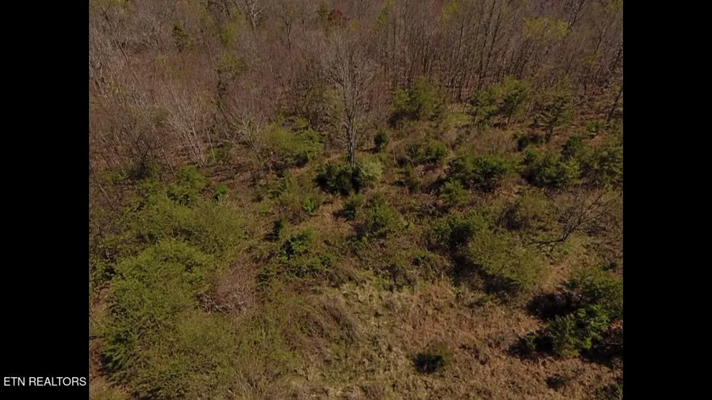 317 Mountain View Drive Vonore, TN 37885