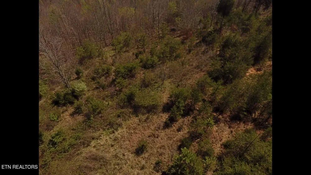 317 Mountain View Drive Vonore, TN 37885
