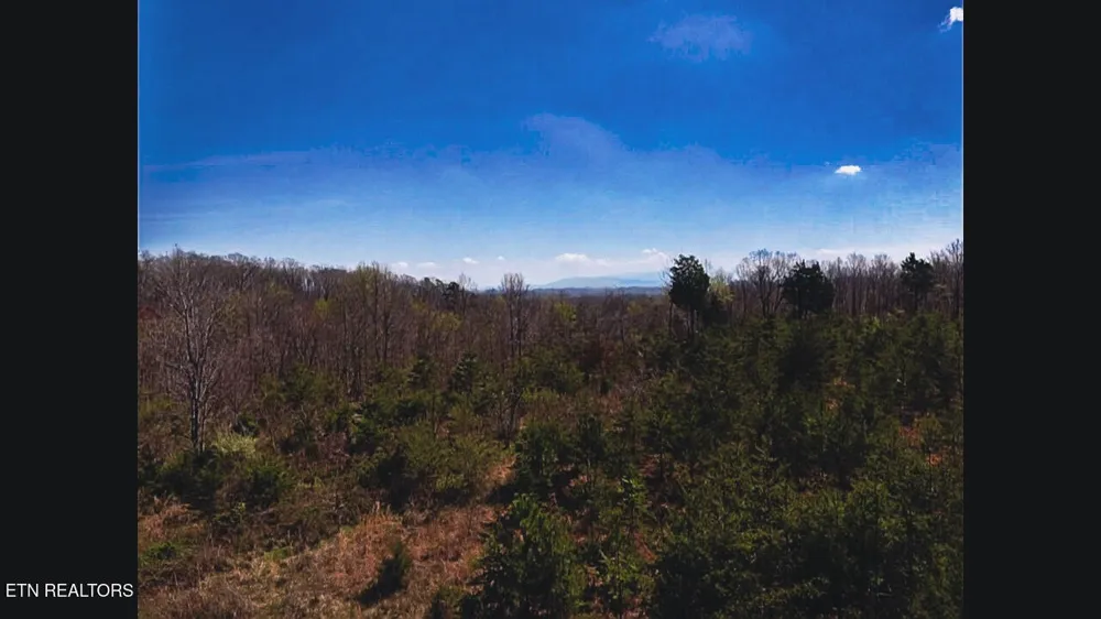 317 Mountain View Drive Vonore, TN 37885