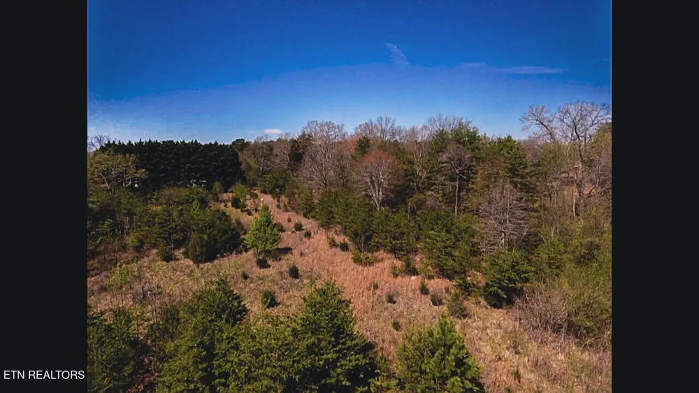 317 Mountain View Drive Vonore, TN 37885