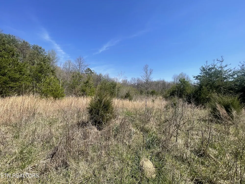 317 Mountain View Drive Vonore, TN 37885