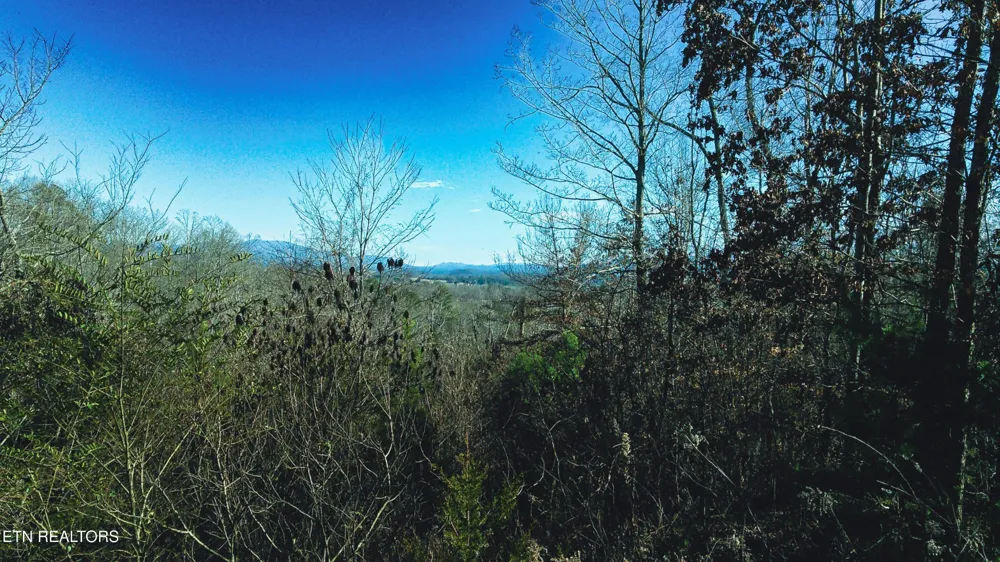 317 Mountain View Drive Vonore, TN 37885