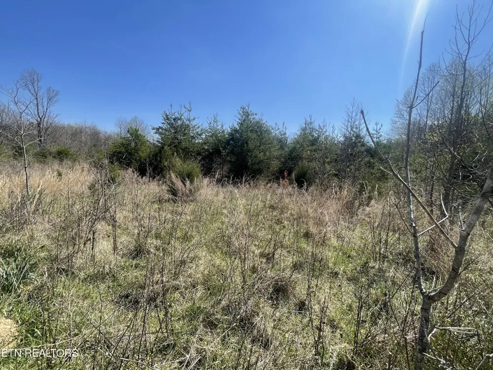 317 Mountain View Drive Vonore, TN 37885
