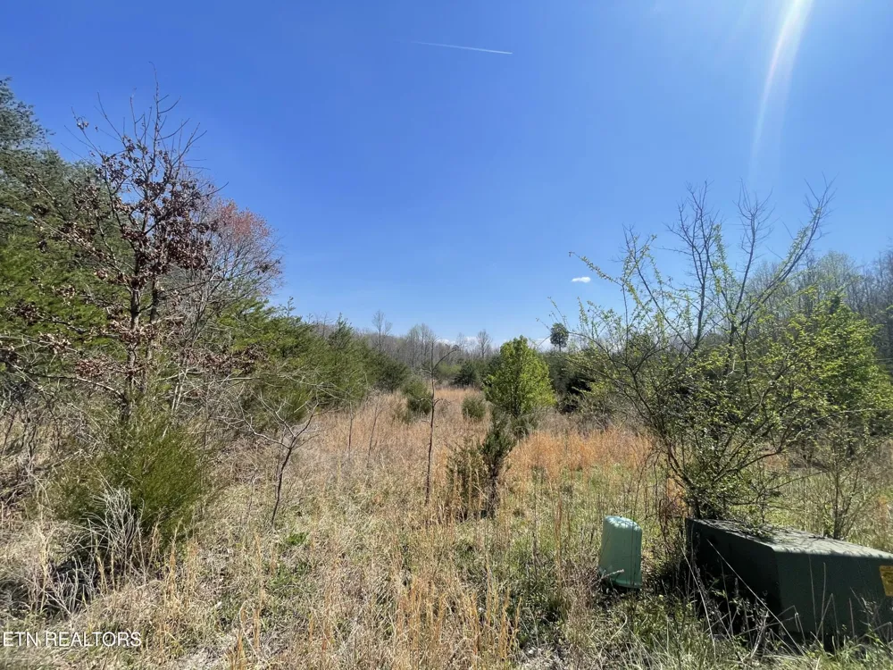 317 Mountain View Drive Vonore, TN 37885