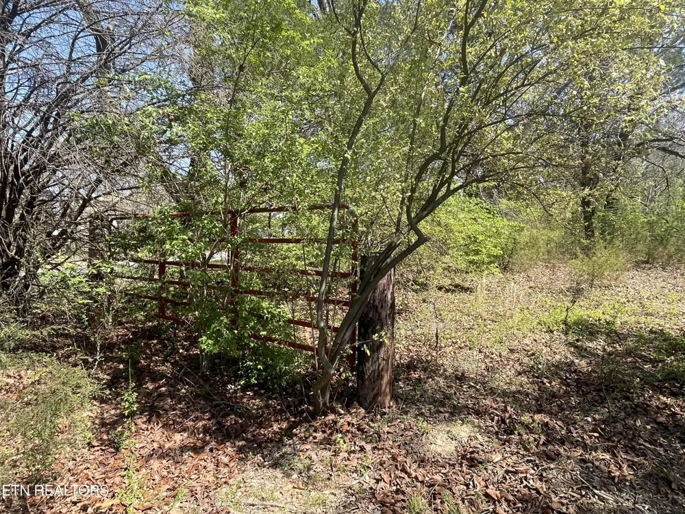 317 Mountain View Drive Vonore, TN 37885