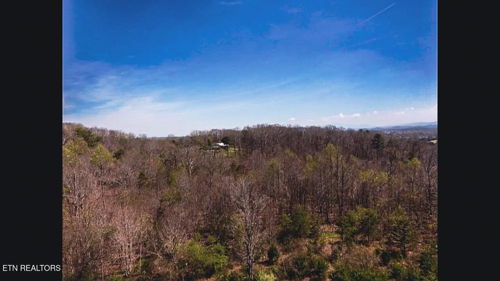 317 Mountain View Drive Vonore, TN 37885
