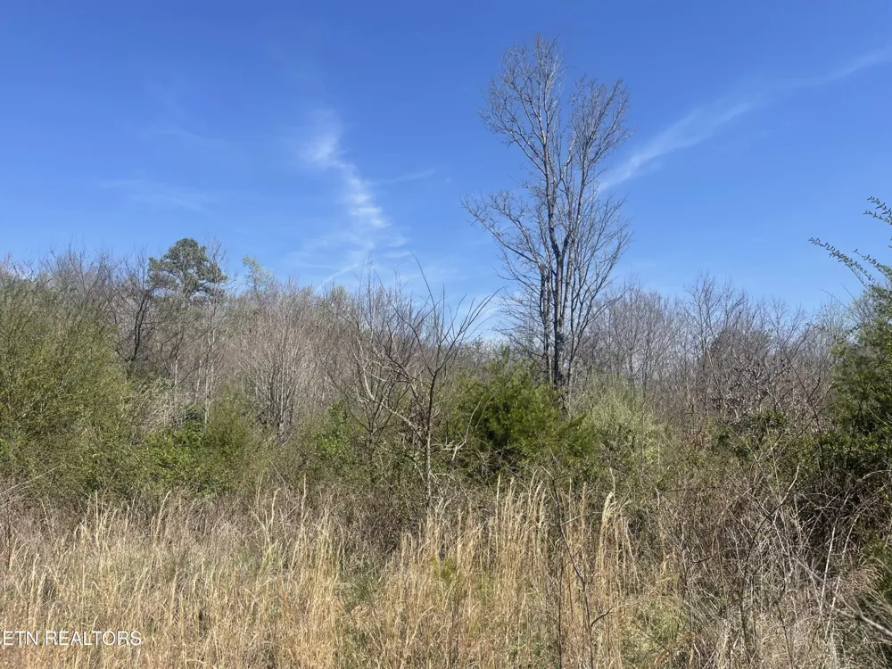 317 Mountain View Drive Vonore, TN 37885