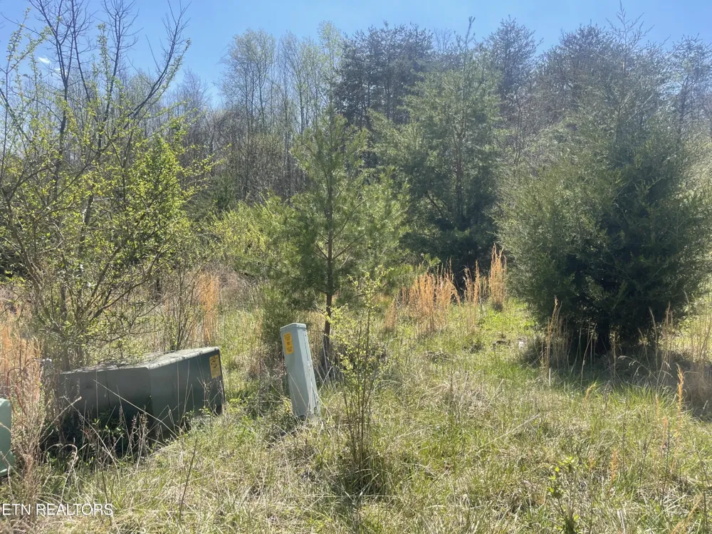 317 Mountain View Drive Vonore, TN 37885