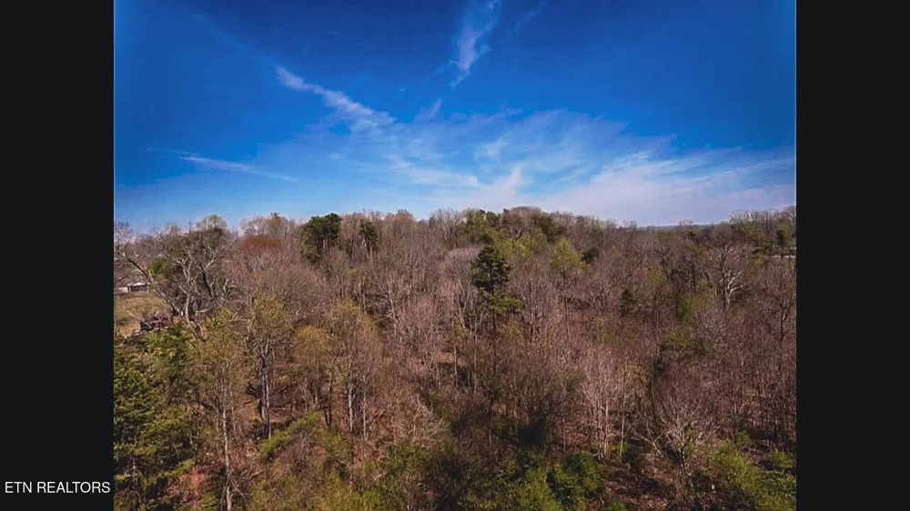 317 Mountain View Drive Vonore, TN 37885