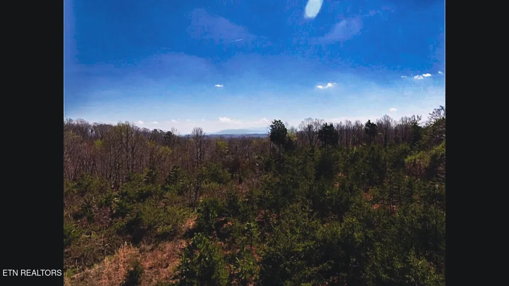 317 Mountain View Drive Vonore, TN 37885