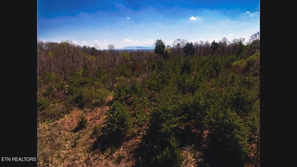 317 Mountain View Drive Vonore, TN 37885