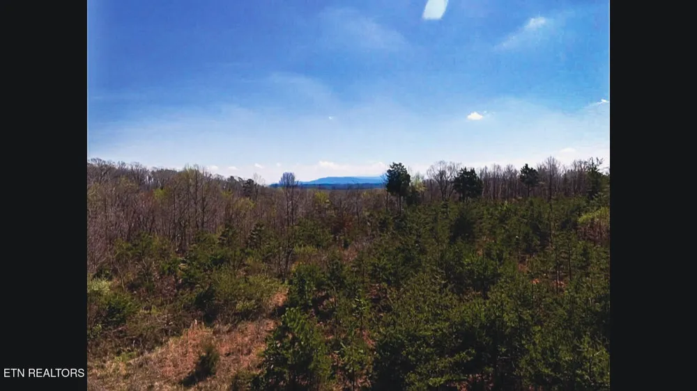 317 Mountain View Drive Vonore, TN 37885