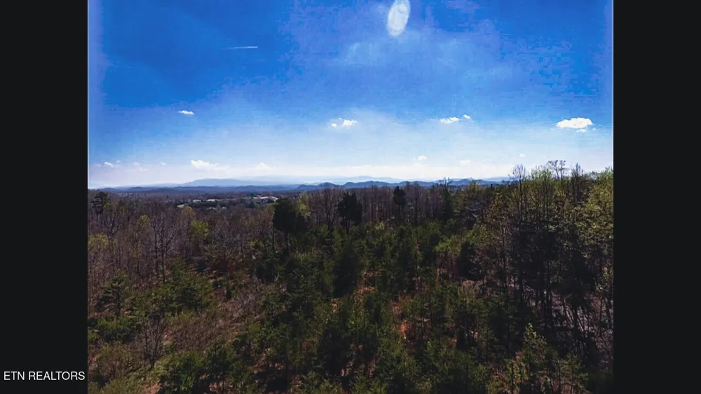 317 Mountain View Drive Vonore, TN 37885